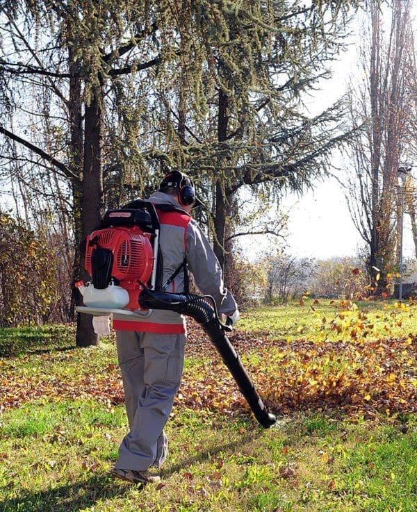 Cifarelli motorni puhač BL1200EU - Slika 2