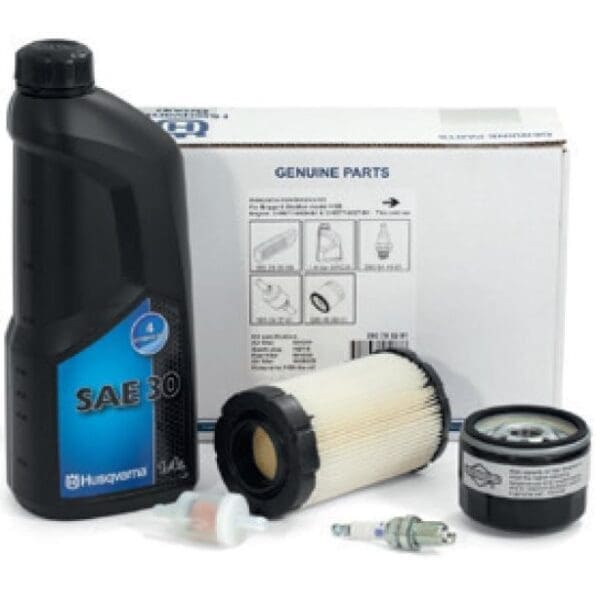 Servisni kit - Briggs 4155/M31 Intek