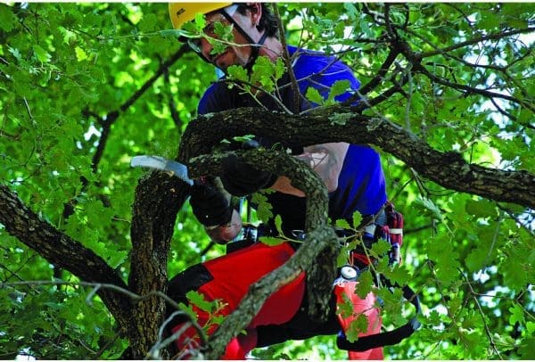 Ručna pila zakrivljena Silky Zubat 270-7,5 - Slika 9