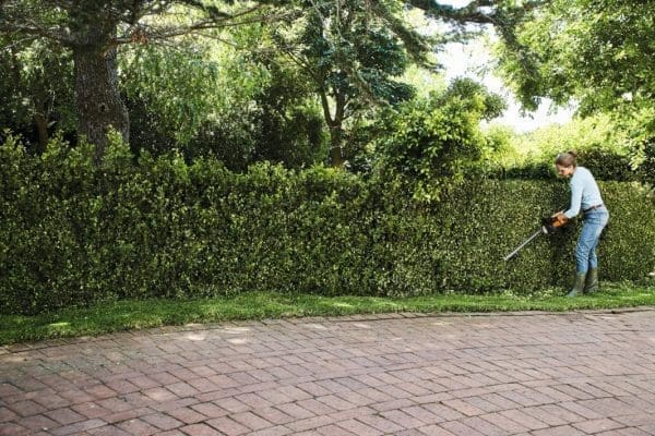 Akumulatorske škare za živicu STIHL HSA 50 SET /50cm - Slika 4