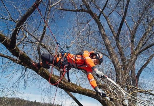 Husqvarna pojas za penjanje - Slika 5