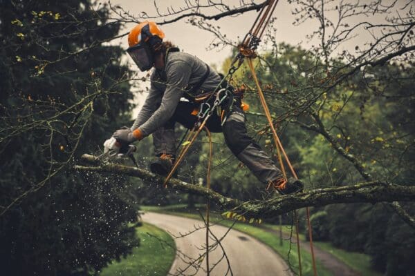 STIHL akumulatorska ručna pila GTA 40 bez baterije i punjača - Slika 11